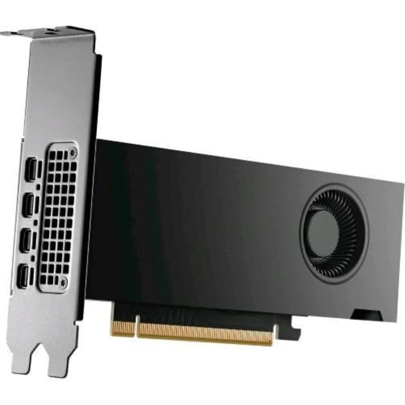 Scheda grafica NVIDIA RTX 2000 Ada 16 GB 4 x mDP - HP