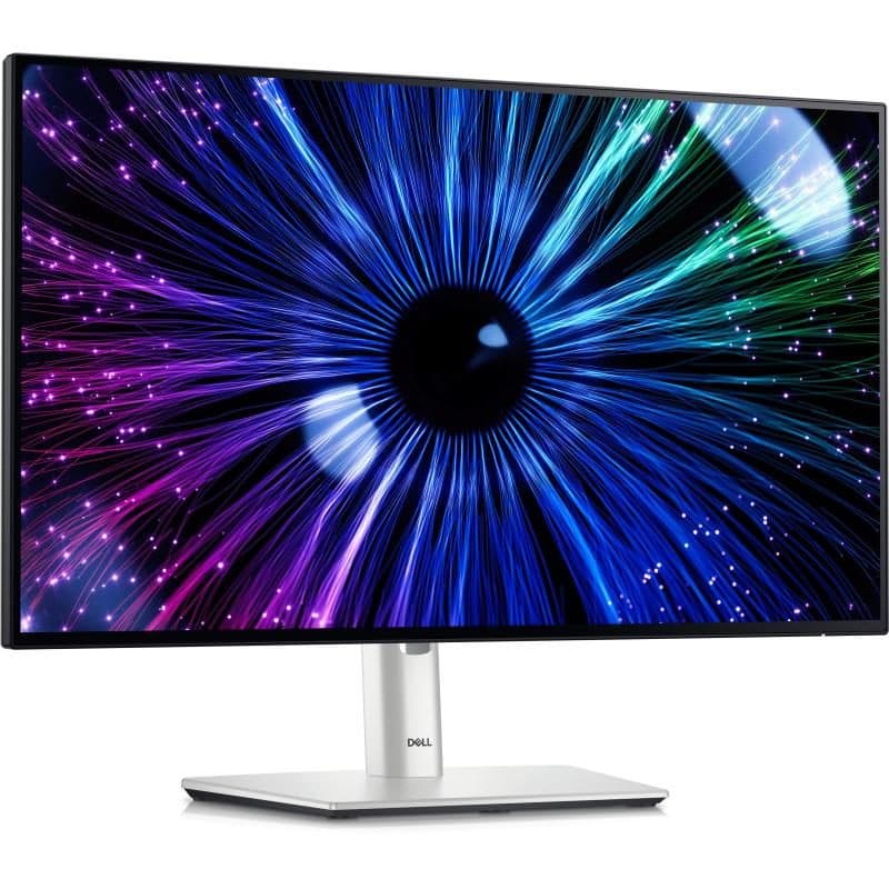 Monitor PC 23.8 pollici (60,5 cm) Full HD 1920 x 1080 LCD nero/argento - Dell UltraSharp U2424HE