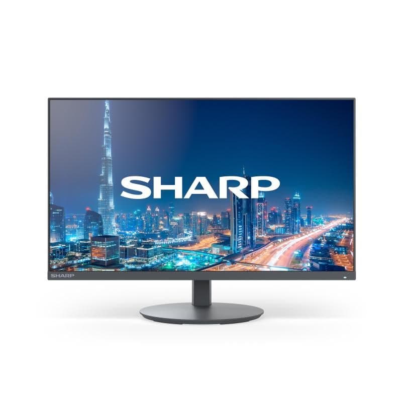 Monitor nero - Sharp/NEC MultiSync DD-E244F