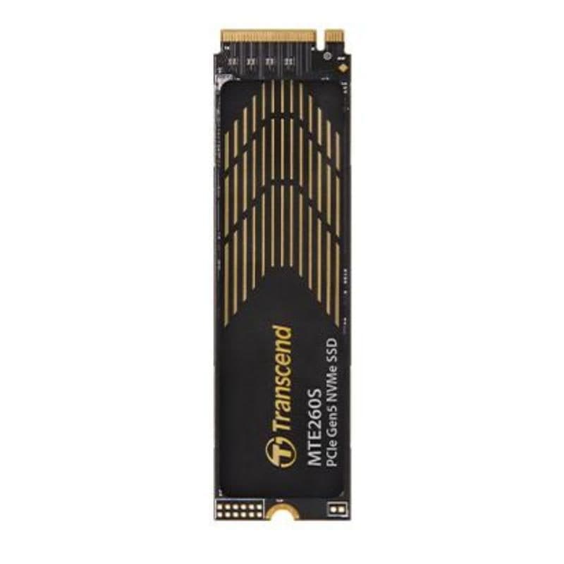 SSD 1TB M.2 2280 PCIe Gen5 x4 NVMe con dissipatore - Transcend