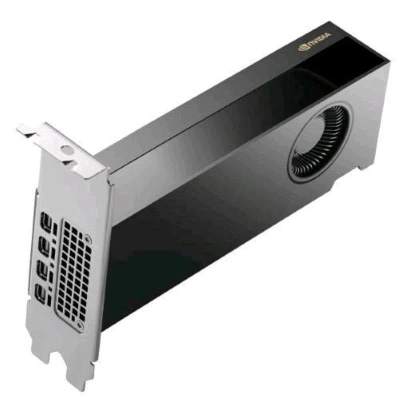 Scheda video NVIDIA RTX PRO 2000 Blackwell 16GB GDDR7 PCIe 5.0 x8 4 mini DisplayPort - HP