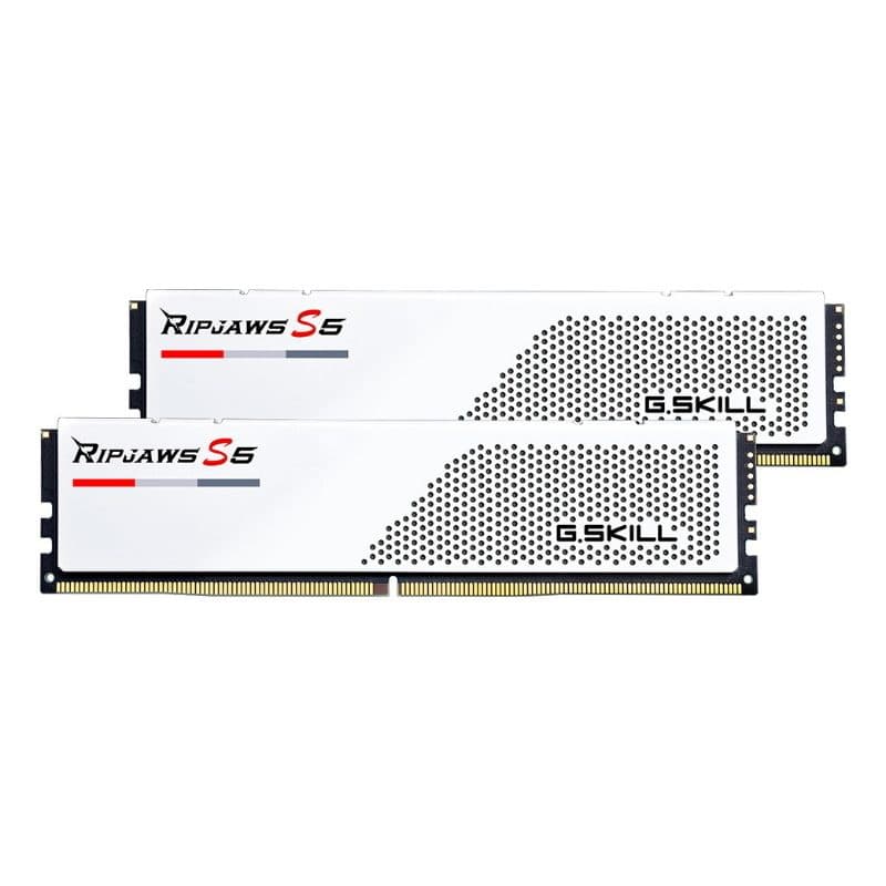 Memoria RAM 96GB (2 x 48GB) DDR5 6000 MHz - G.Skill Ripjaws S5 F5-6000J3036F48GX2-RS5W