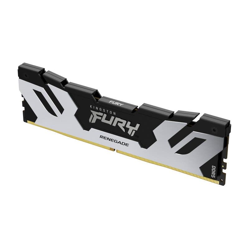 Memoria RAM 16GB DDR5 6400MT/s CL32 DIMM argento - Kingston Fury Renegade