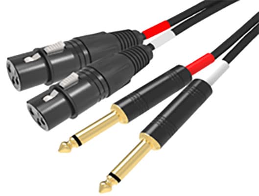 Cavo 2 x XLR F / 2 x 6.3mm - 3m - Ridem RDM C93