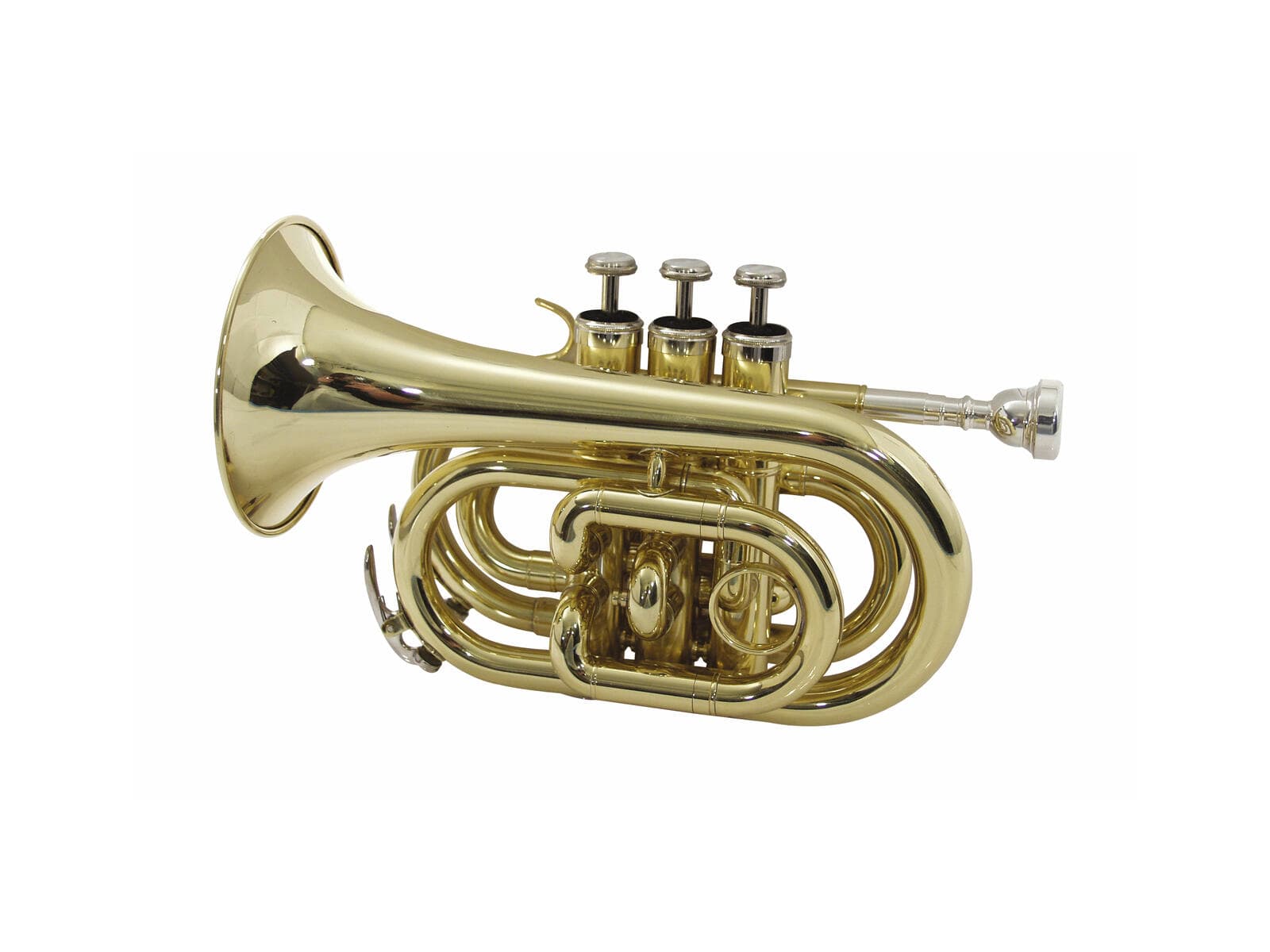 DIMAVERY TP-300 Tromba tascabile in Sib, dorata - 26503720