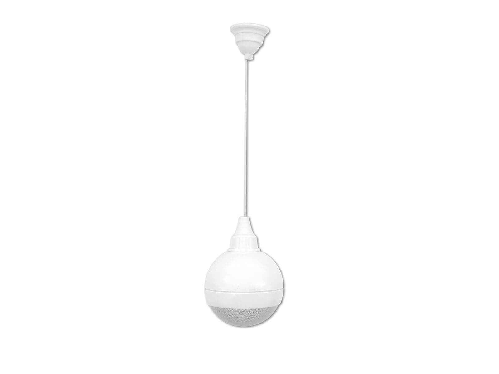 OMNITRONIC WP-5H Altoparlante da soffitto - 80710402