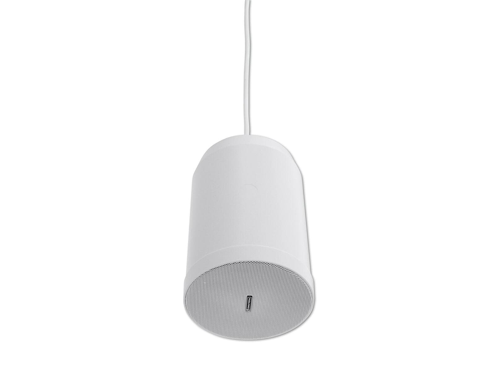 OMNITRONIC WP-10W Altoparlante da soffitto - 80710404