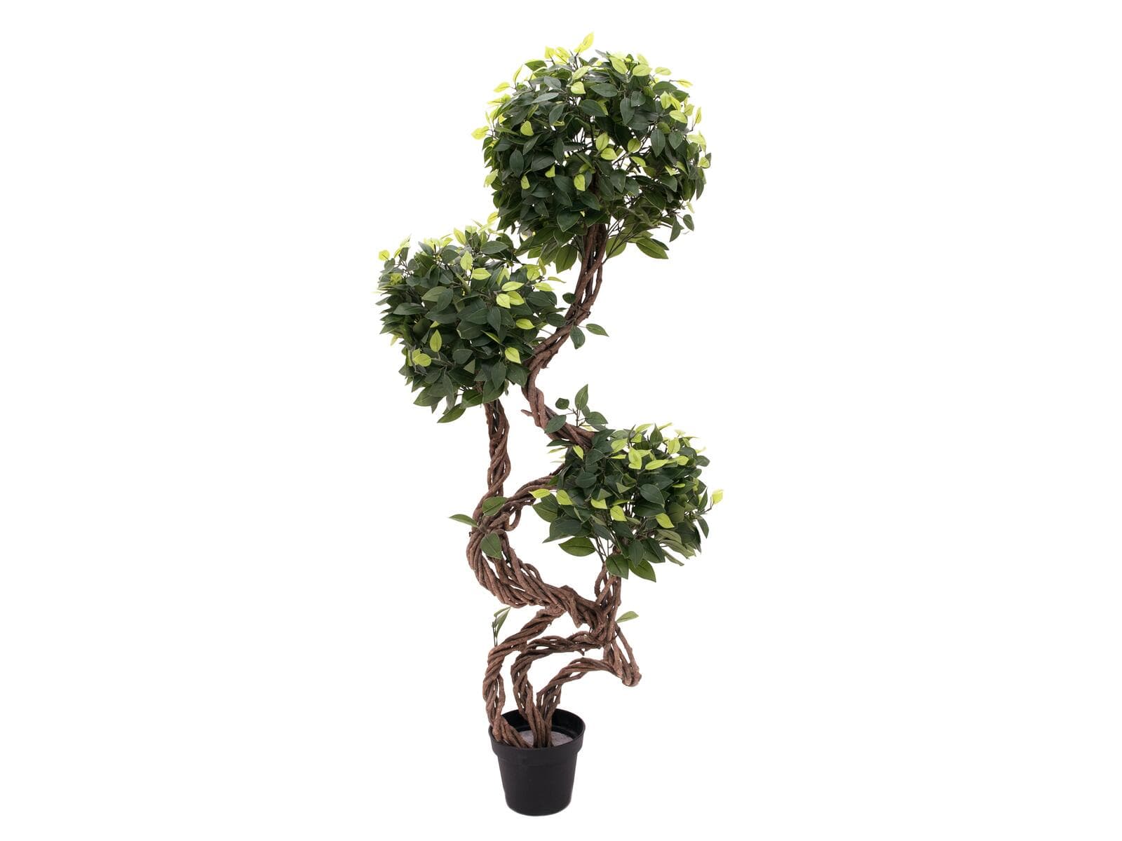 EUROPALMS Ficus a tronchi intrecciati, pianta artificiale, 160cm - 82501563
