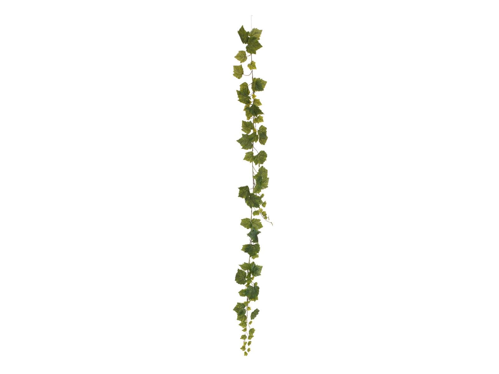 EUROPALMS Ghirlanda d'uva premium, artificiale, 180cm - 82503754