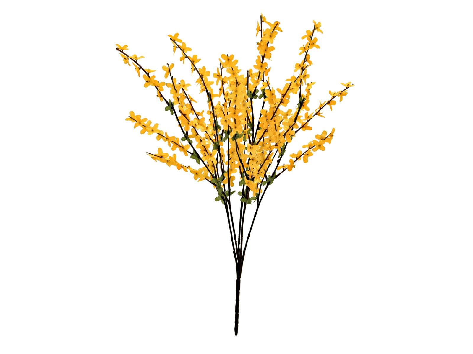 EUROPALMS Forsizia, artificiale, 60cm - 82505629