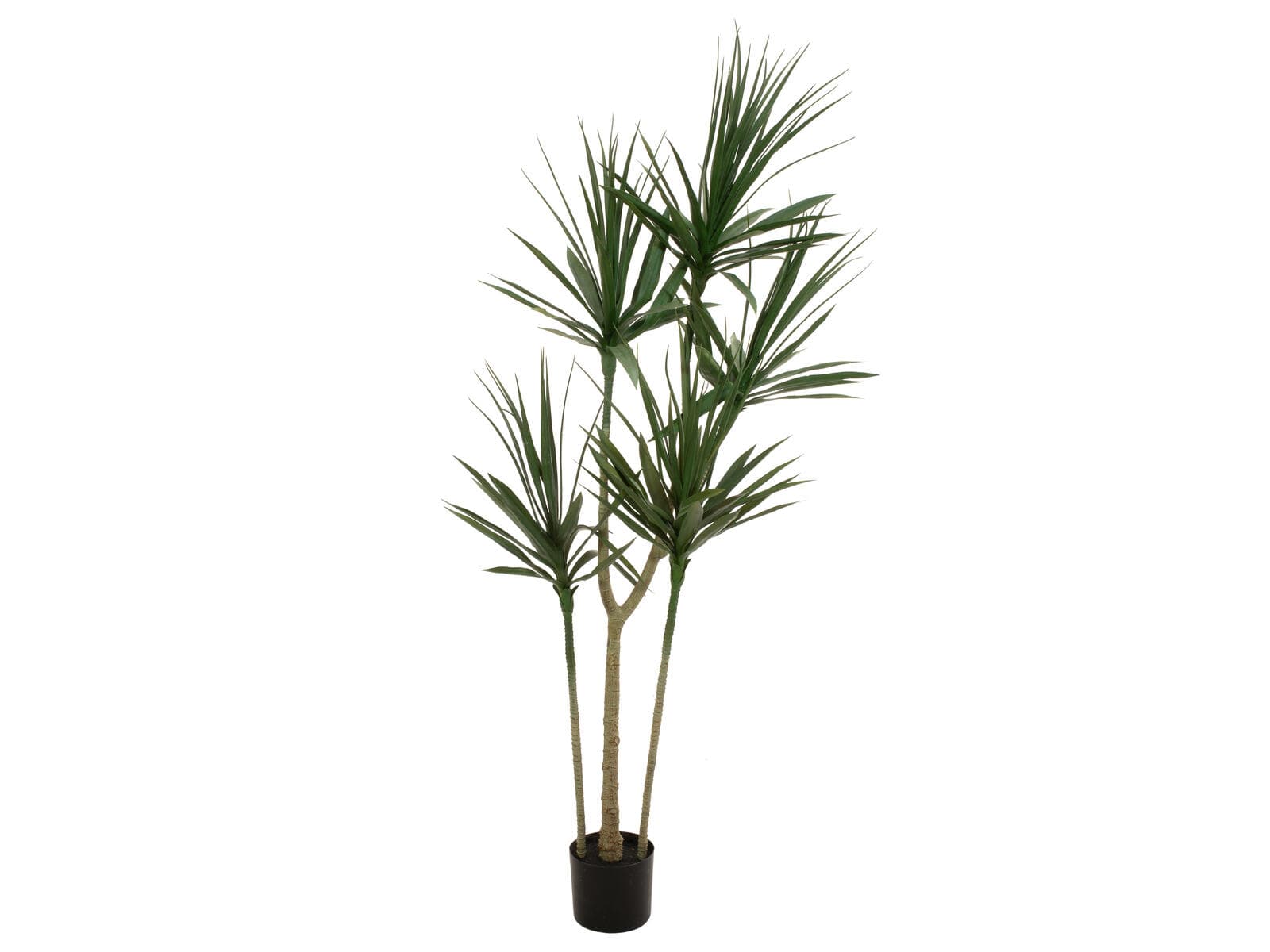 EUROPALMS Dracena, pianta artificiale, verde, 170cm - 82505799