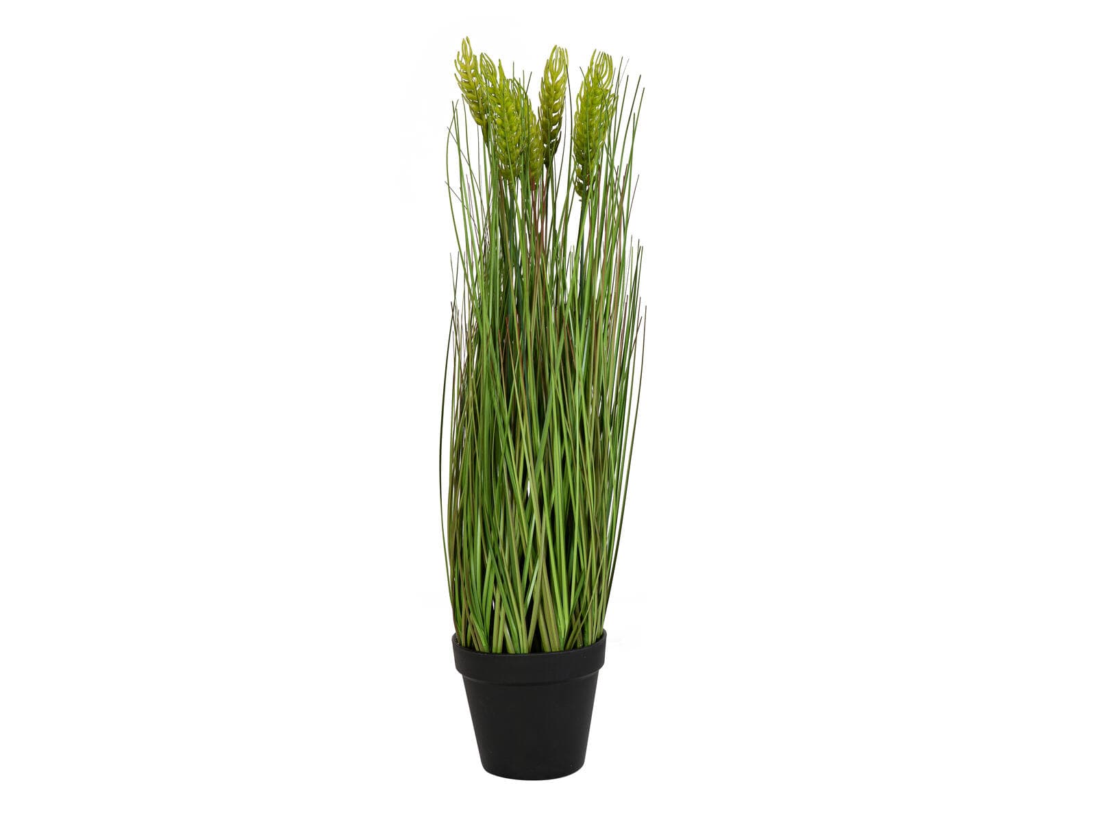 EUROPALMS Grano di inizio estate, artificiale, 60cm - 82505866