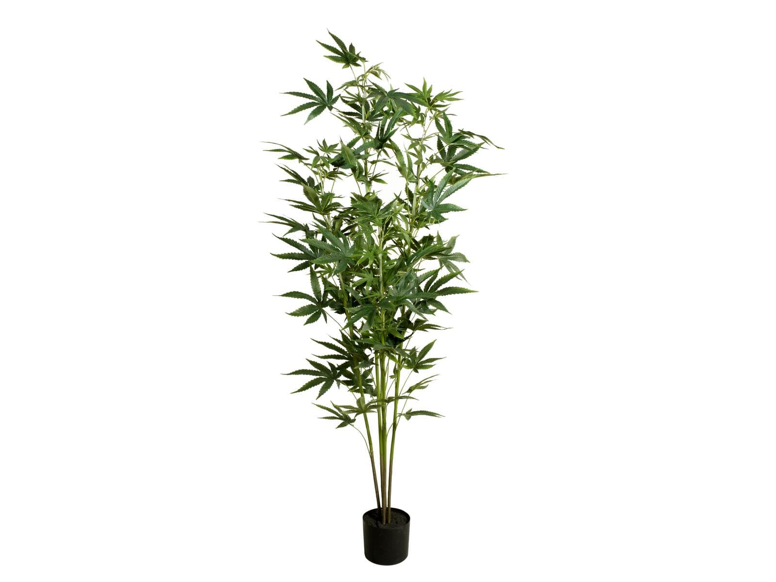 EUROPALMS Cannabis, pianta artificiale, 150cm - 82506692
