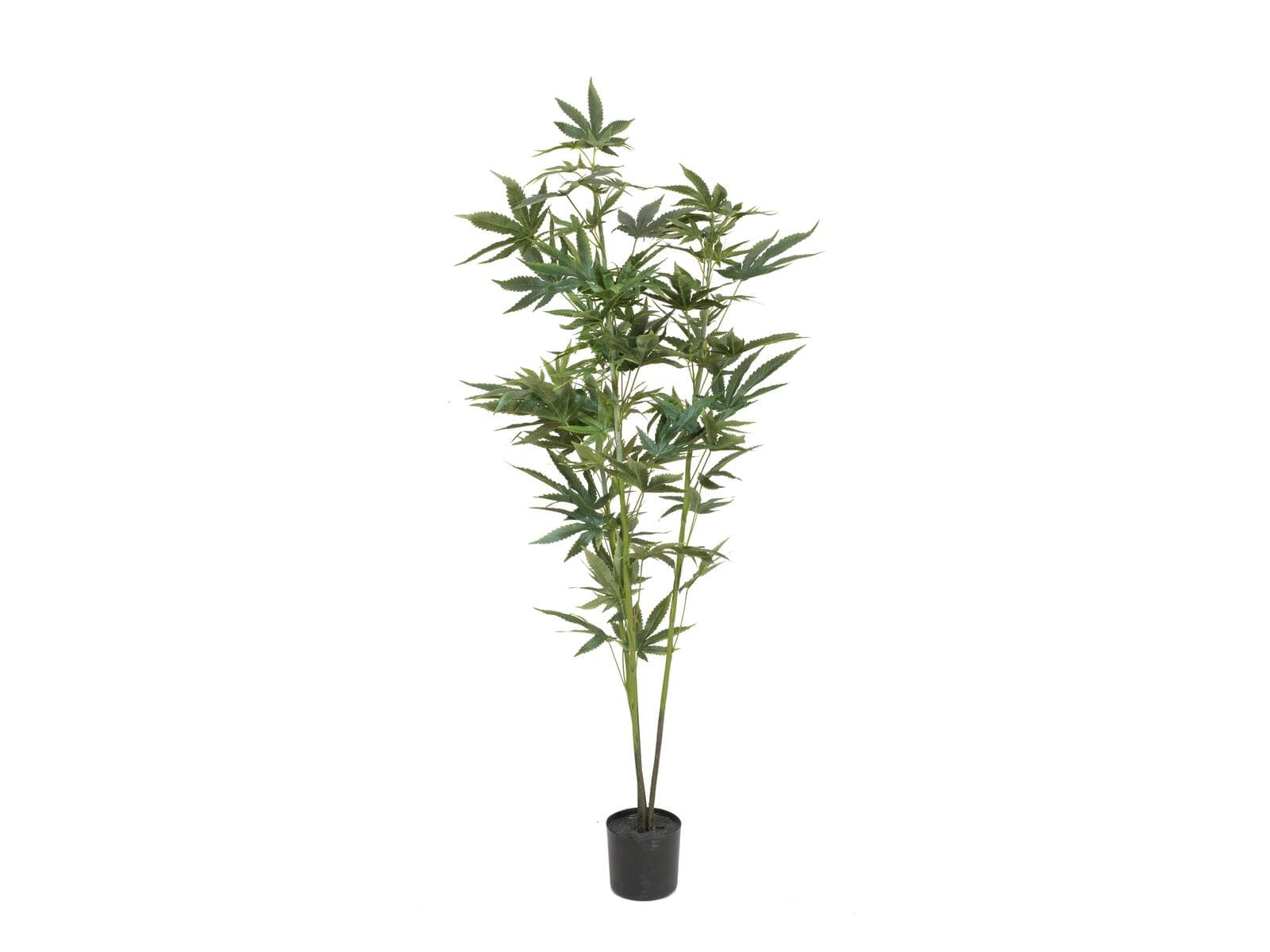 EUROPALMS Cannabis, pianta artificiale, 120cm - 82506693