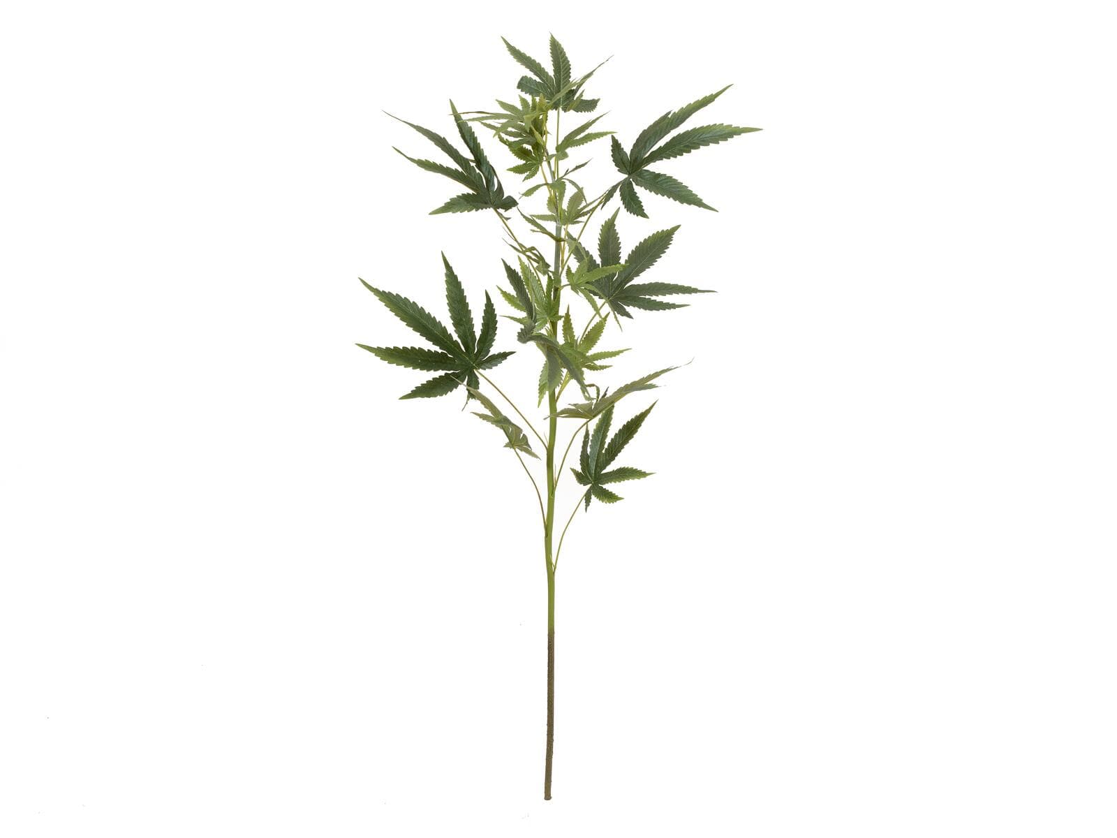 EUROPALMS Ramo di cannabis, pianta artificiale, 90cm - 82506699