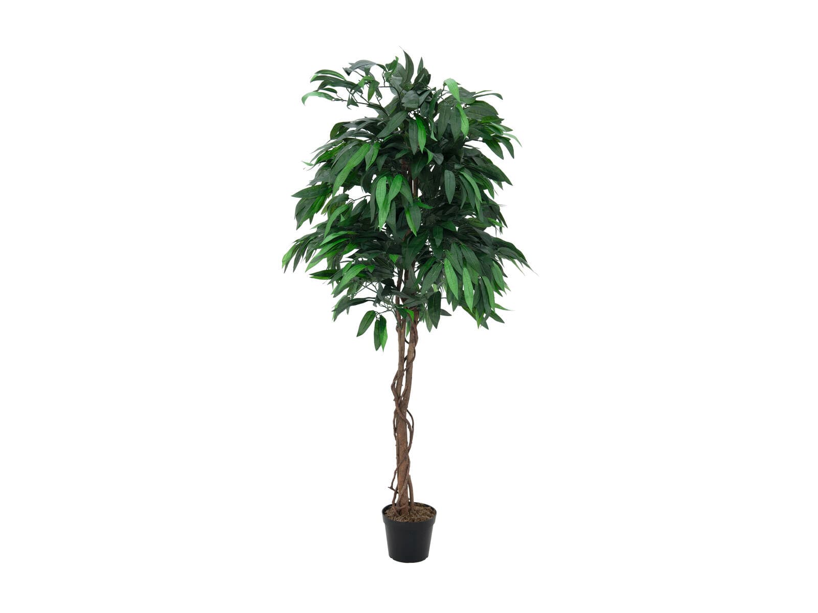 EUROPALMS Albero di mango tropicale, pianta artificiale, 180cm - 82506726