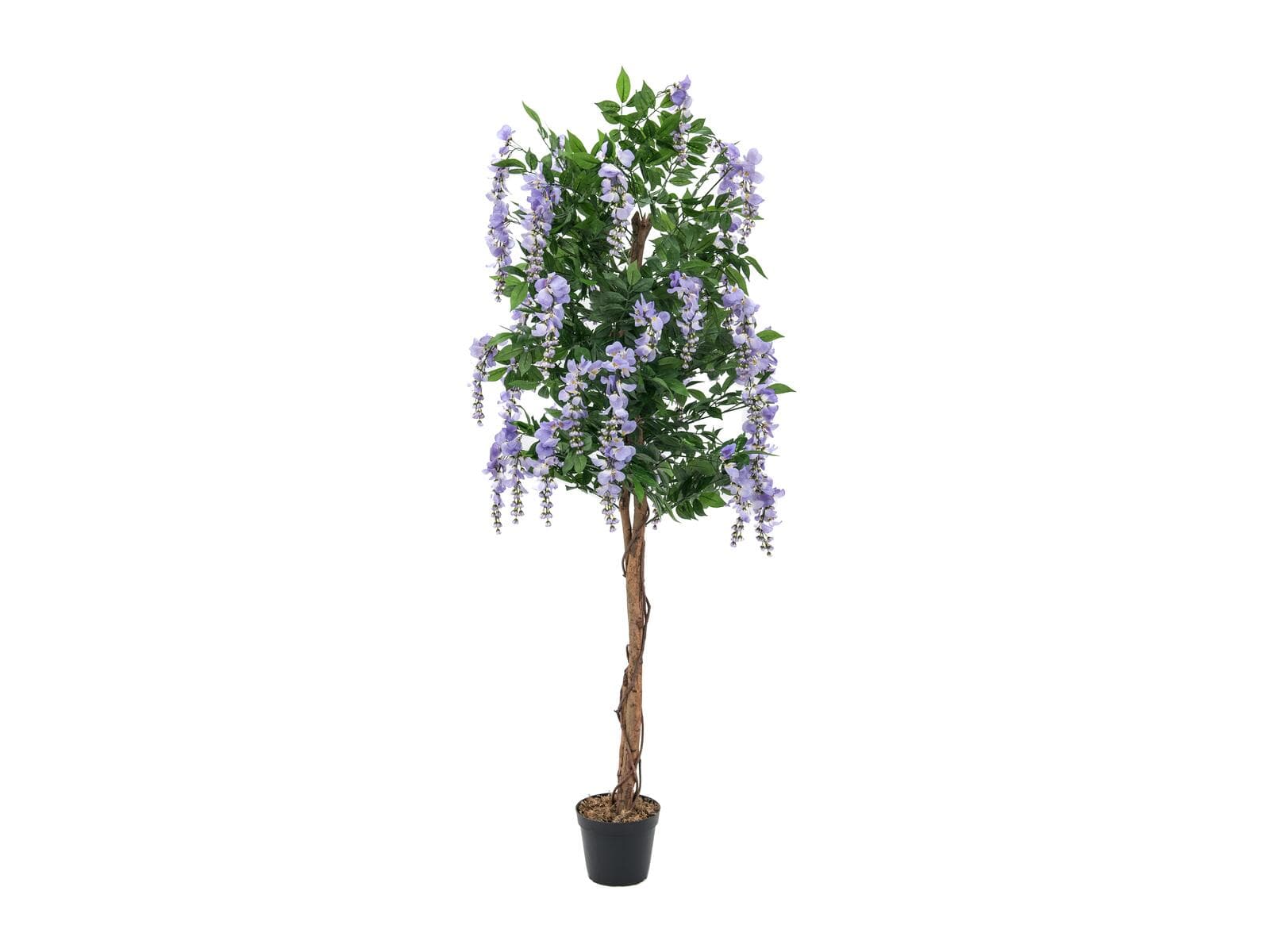 EUROPALMS Glicine alto, pianta artificiale, viola, 150cm - 82507135