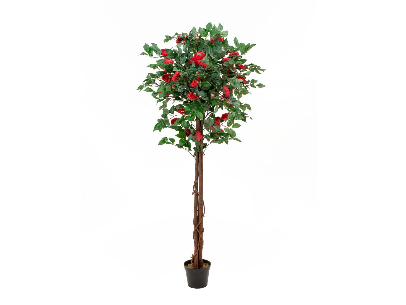 EUROPALMS Camelia rossa cementata, pianta artificiale, 180cm - 82507226