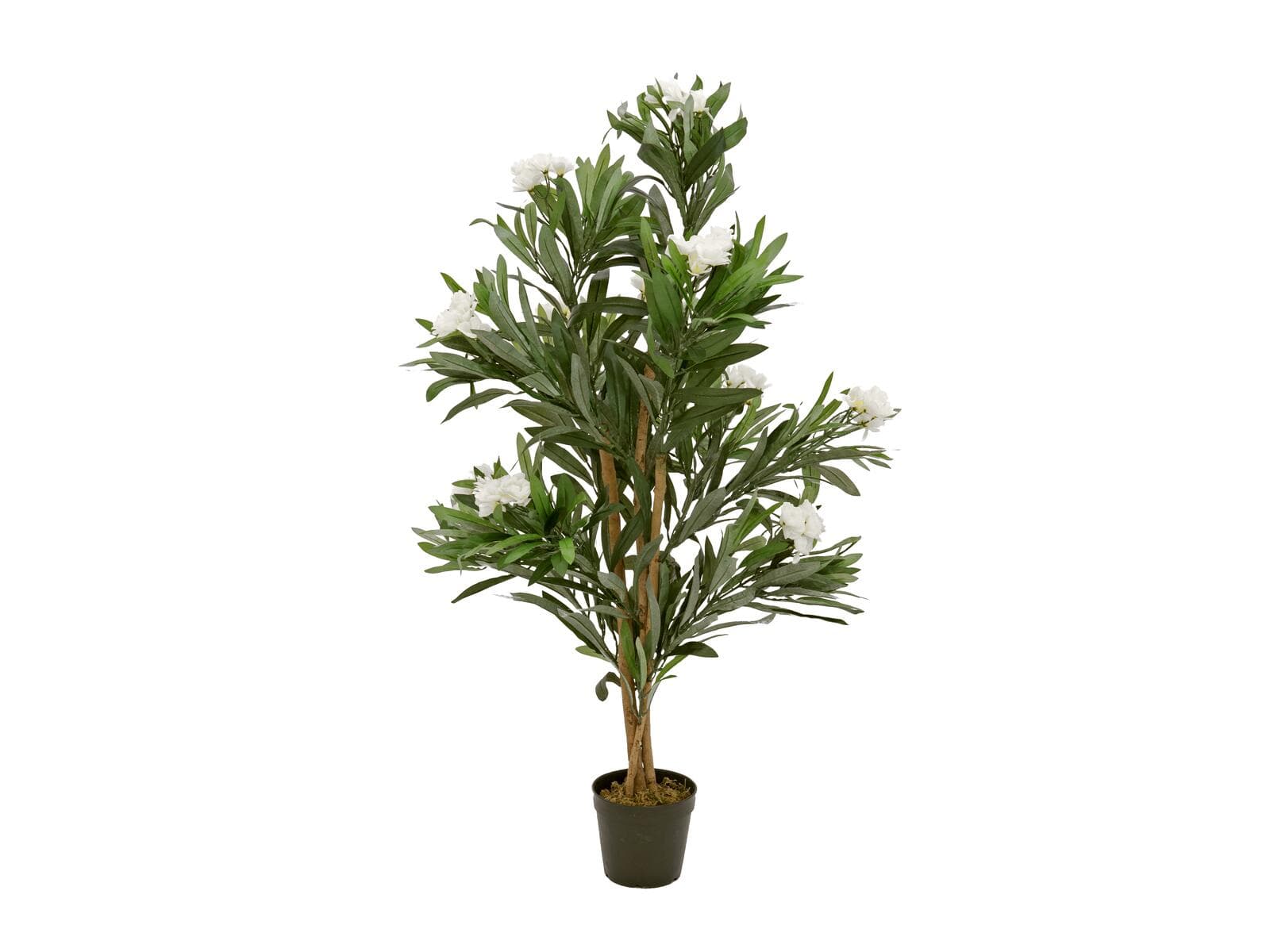 EUROPALMS Oleandro, pianta artificiale, bianco, 120 cm - 82507246
