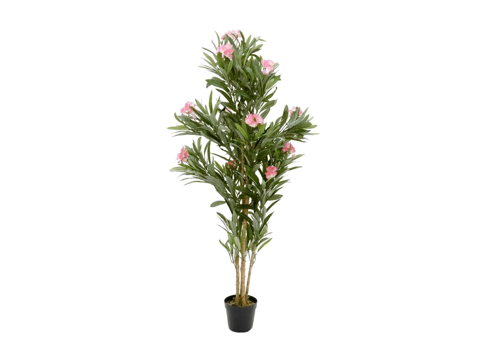 EUROPALMS Oleandro, pianta artificiale, rosa, 150 cm - 82507247