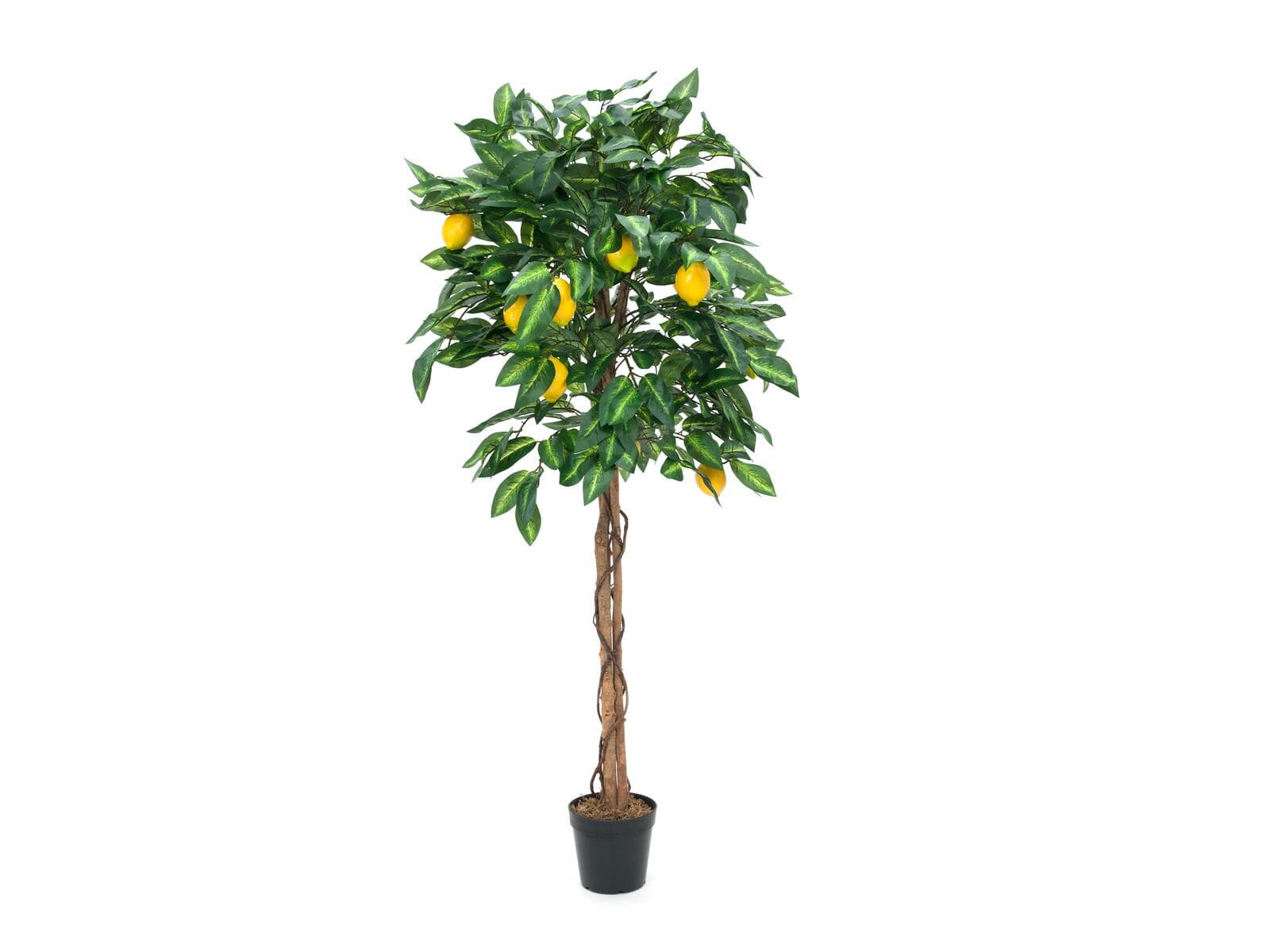 EUROPALMS Albero di limone, pianta artificiale, 180cm - 82507816
