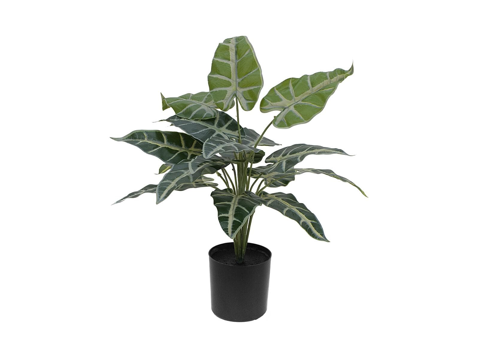 EUROPALMS Caladio, pianta artificiale, 38cm - 82508457