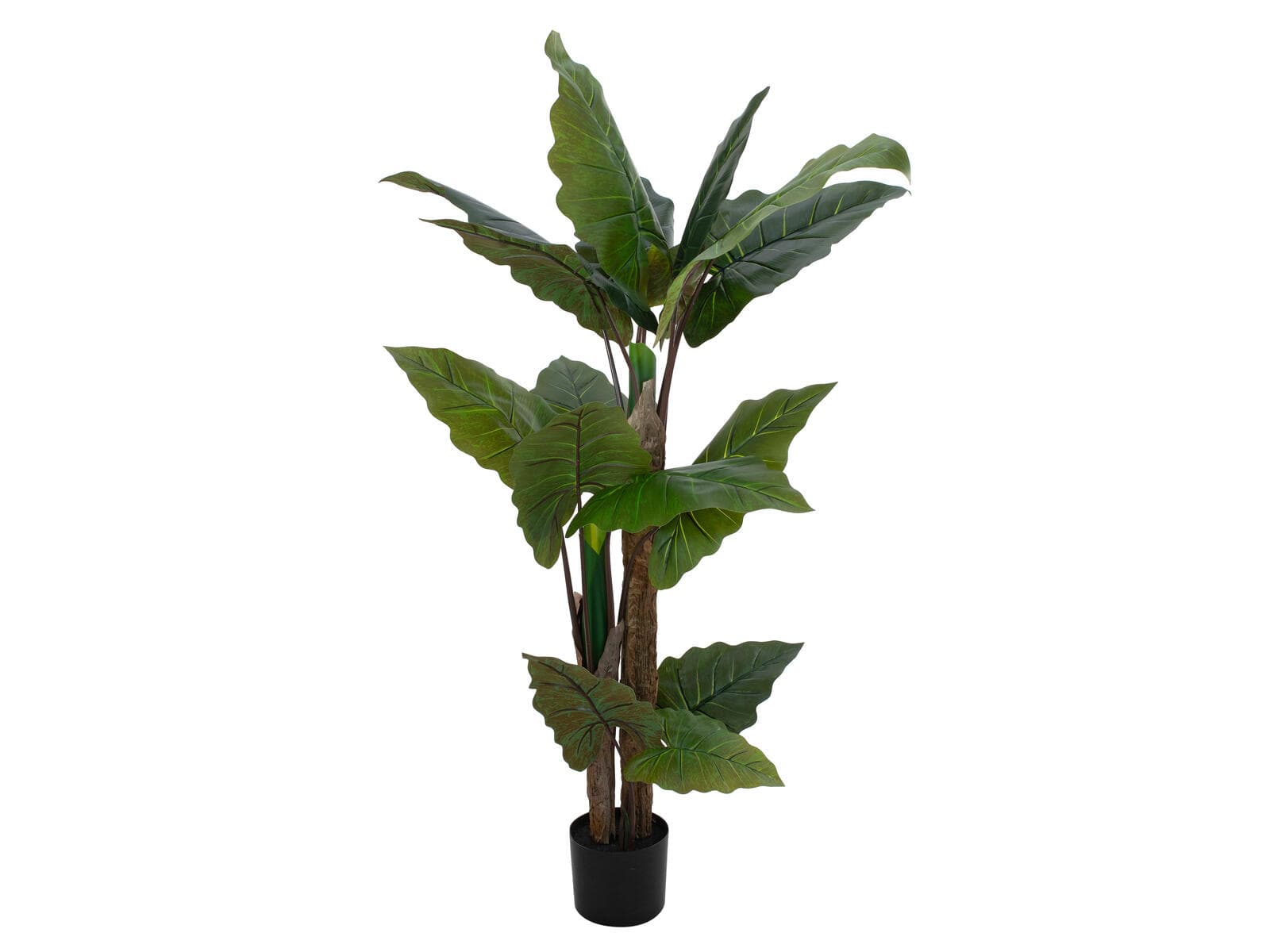 EUROPALMS Taro Alocasia, pianta artificiale, 140cm - 82508464