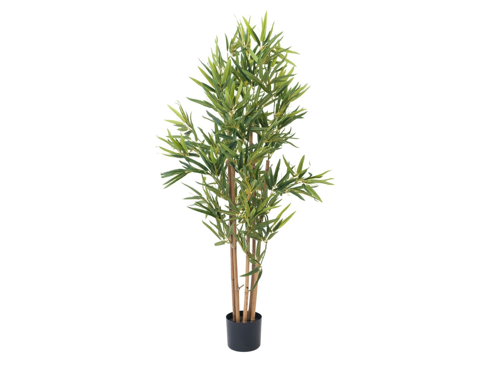EUROPALMS Bamboo Deluxe, pianta artificiale, 120cm - 82509165
