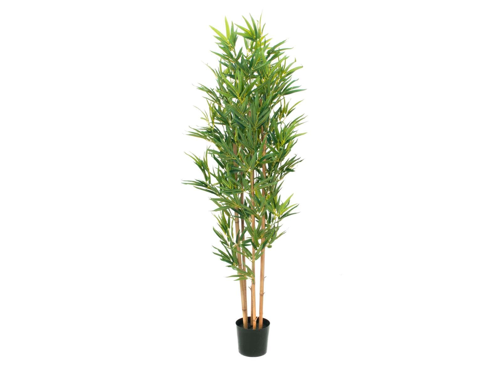 EUROPALMS Bamboo Deluxe, pianta artificiale, 150 cm - 82509166