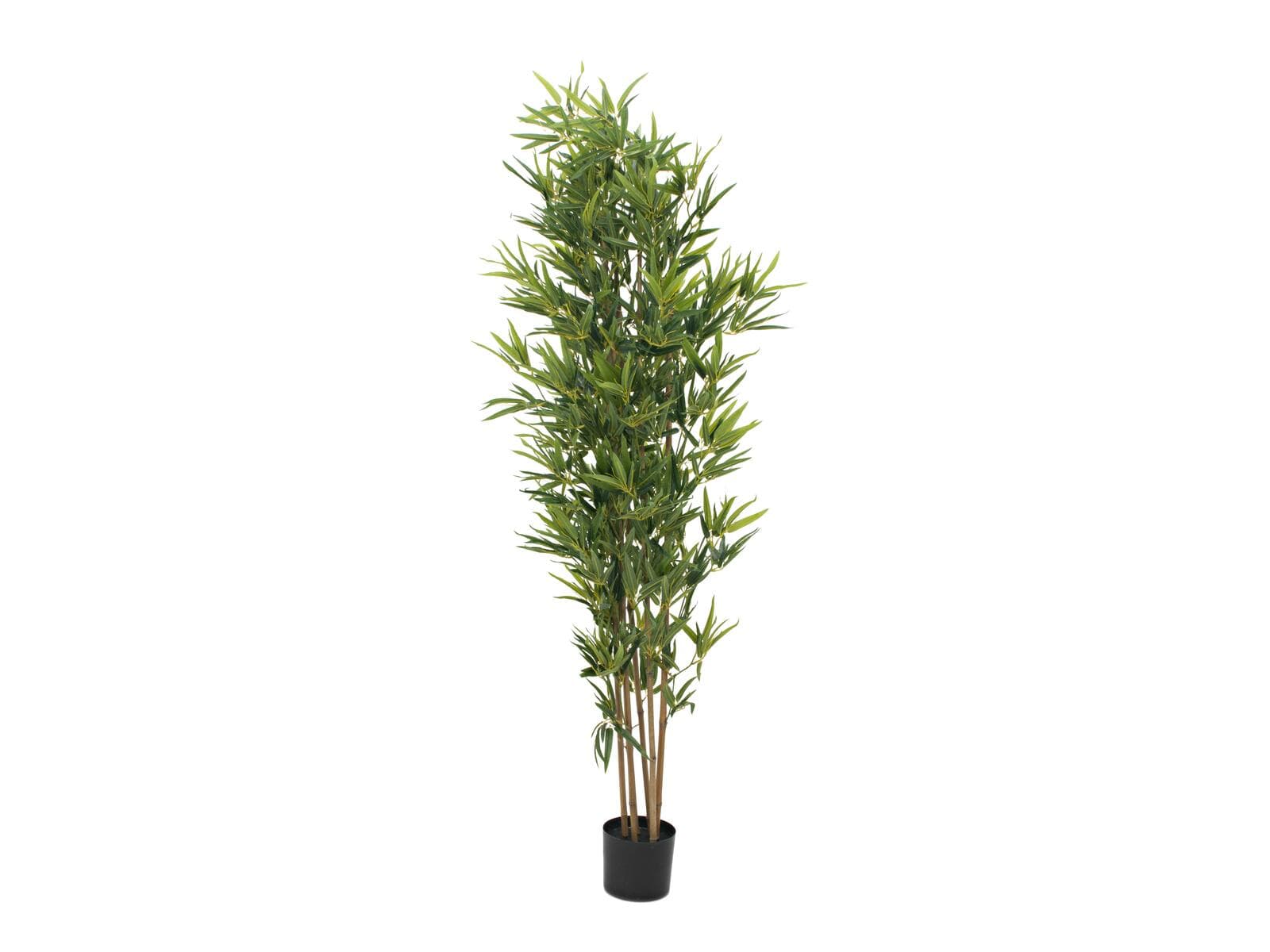 EUROPALMS Bamboo Deluxe, pianta artificiale, 180 cm - 82509167