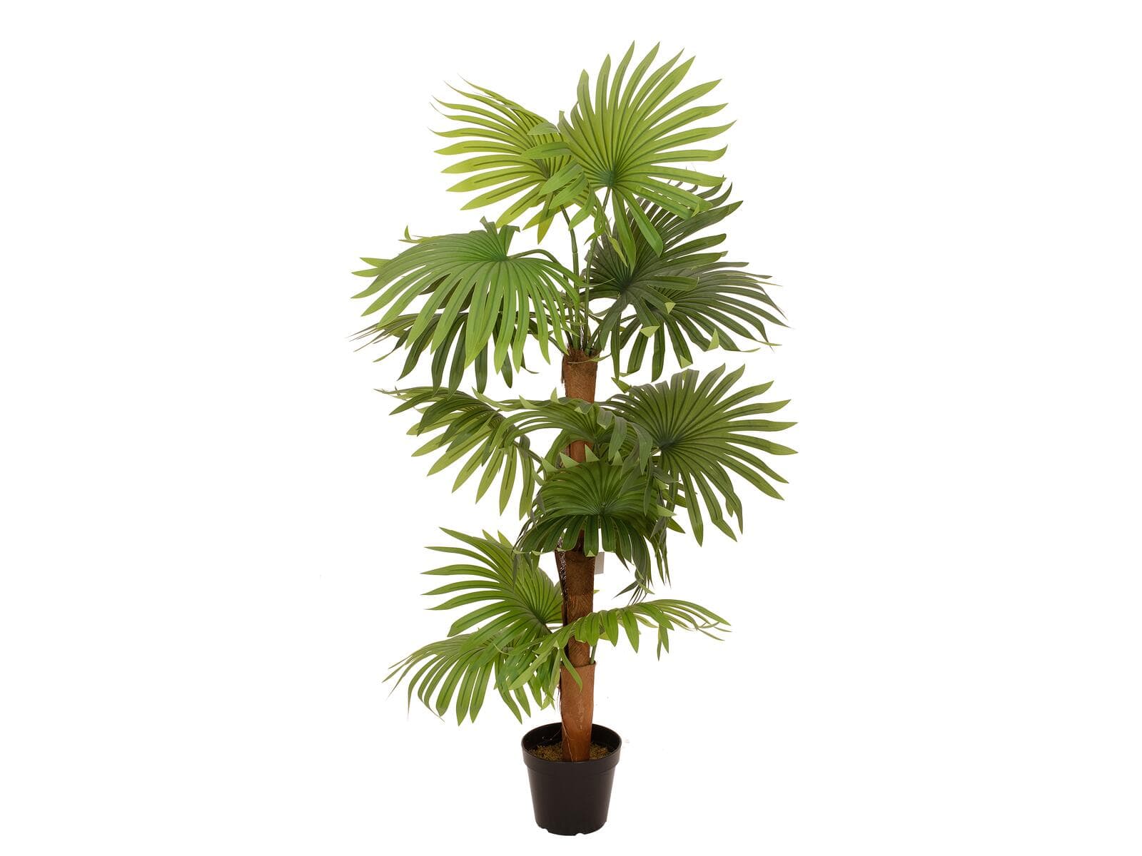 EUROPALMS Fan Palm, pianta artificiale, 130 cm - 82509302