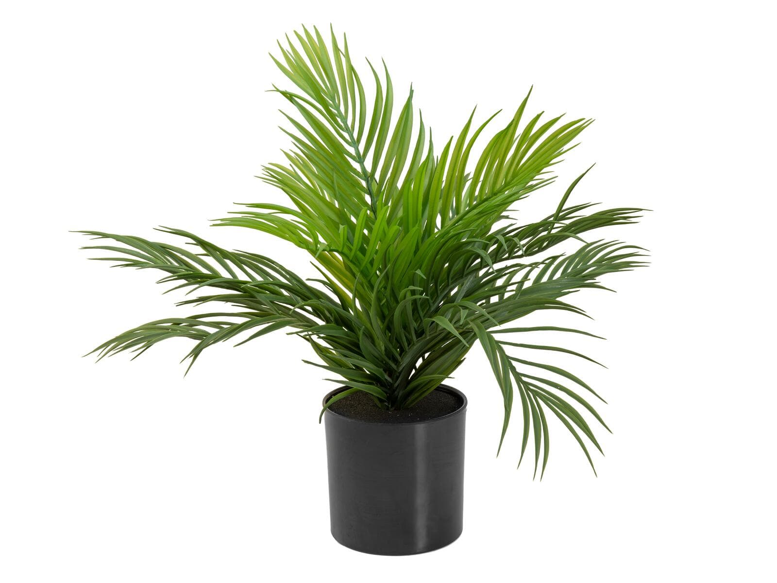 EUROPALMS Areca Palm, pianta artificiale, 46 cm - 82509400