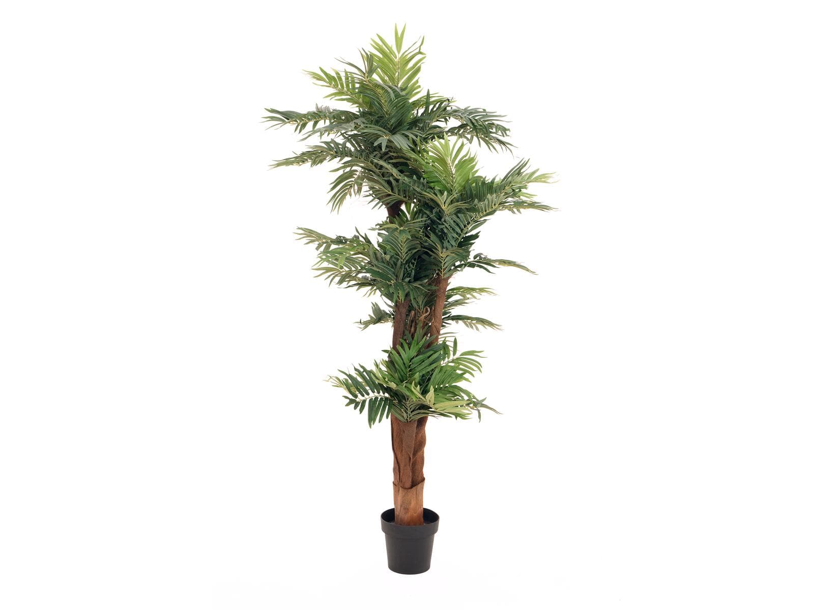 EUROPALMS Areca Palm, pianta artificiale, 170 cm - 82509408