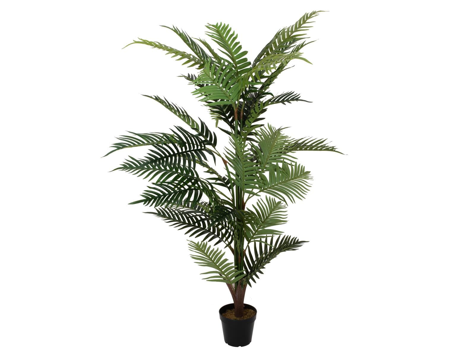 EUROPALMS Areca Palm, pianta artificiale, 150 cm - 82509414