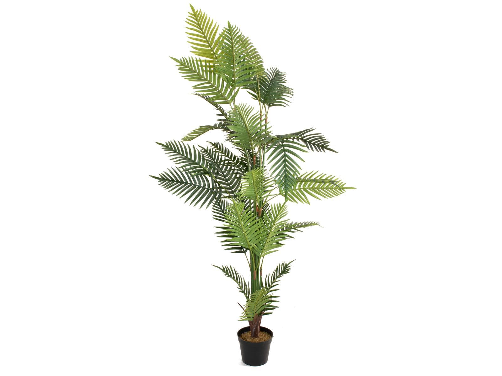 EUROPALMS Areca Palm, pianta artificiale, 180 cm - 82509415