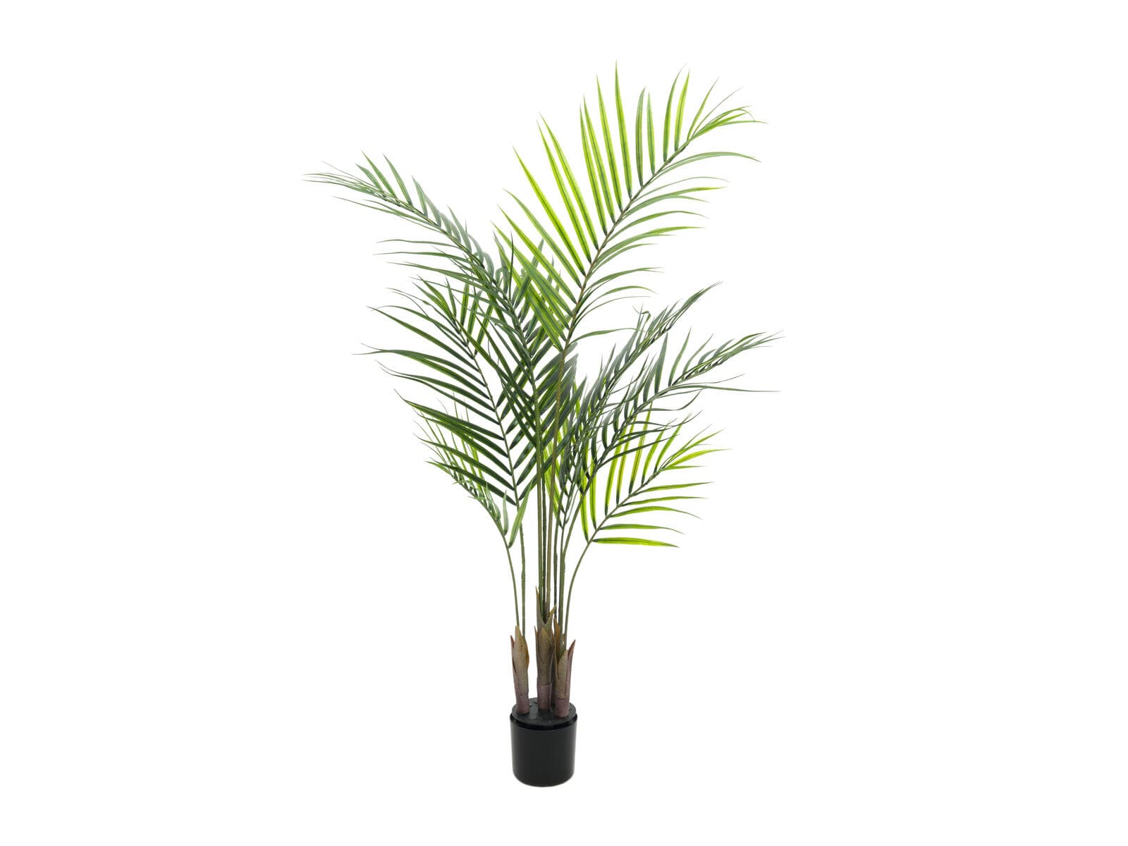 EUROPALMS Areca Palm con foglie grandi, pianta artificiale, 125 cm - 82509440