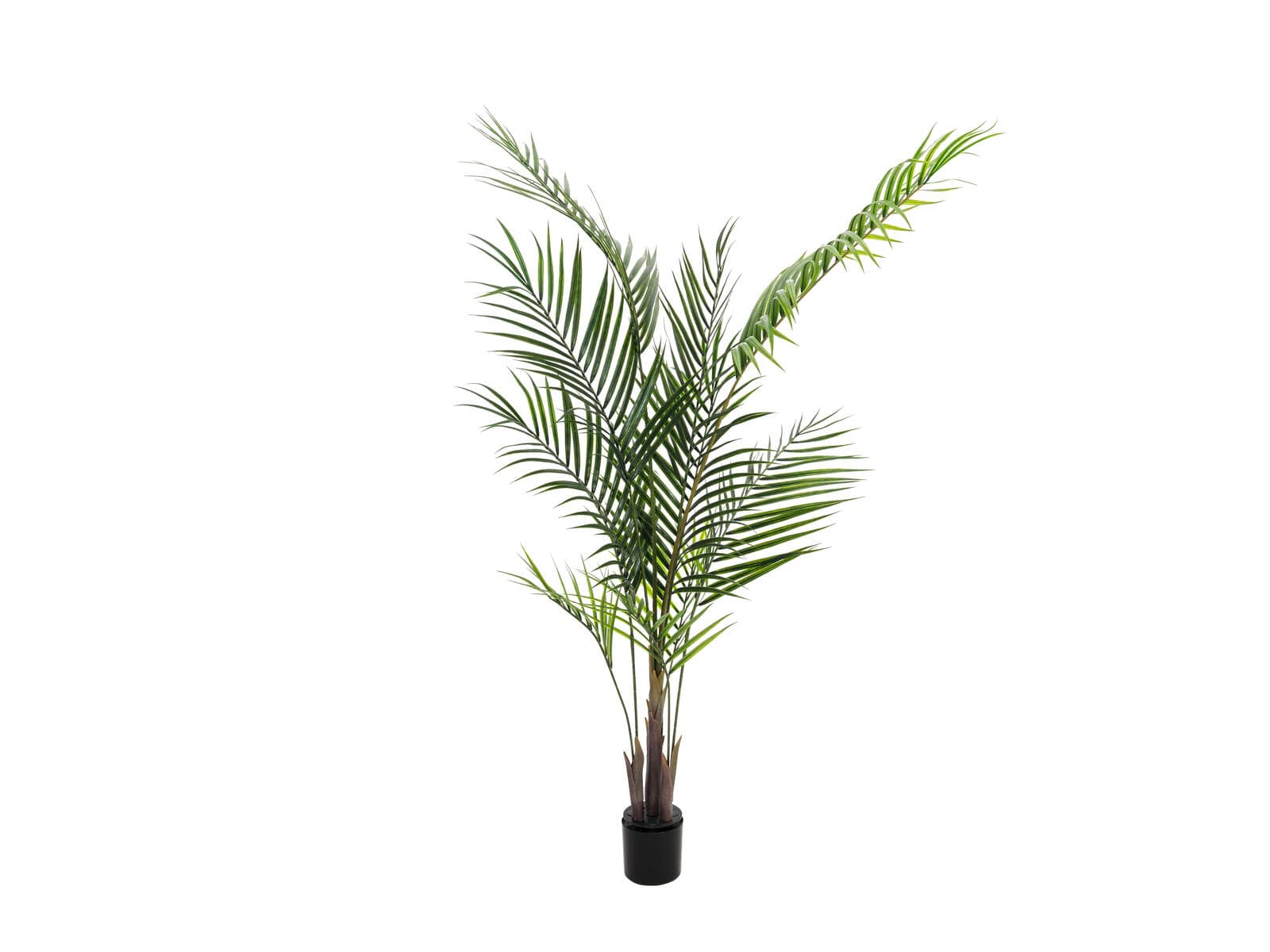 EUROPALMS Areca Palm con foglie grandi, pianta artificiale, 165 cm - 82509441