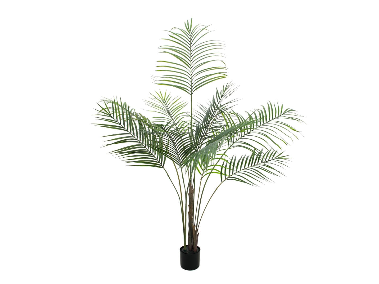 EUROPALMS Areca Palm con foglie grandi, pianta artificiale, 185 cm - 82509442