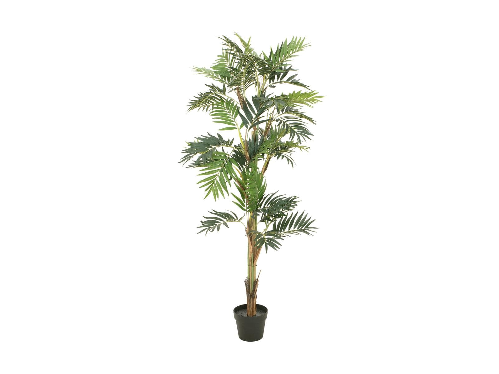 EUROPALMS Parlor Palm, pianta artificiale, 150 cm - 82509495