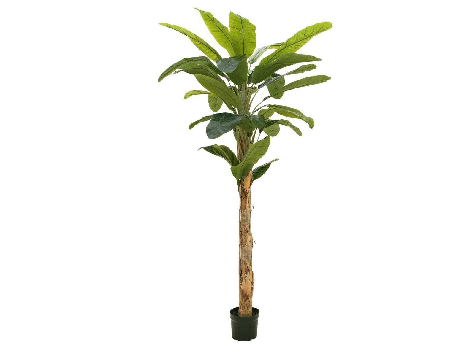 EUROPALMS Banano, pianta artificiale, 210cm - 82509507