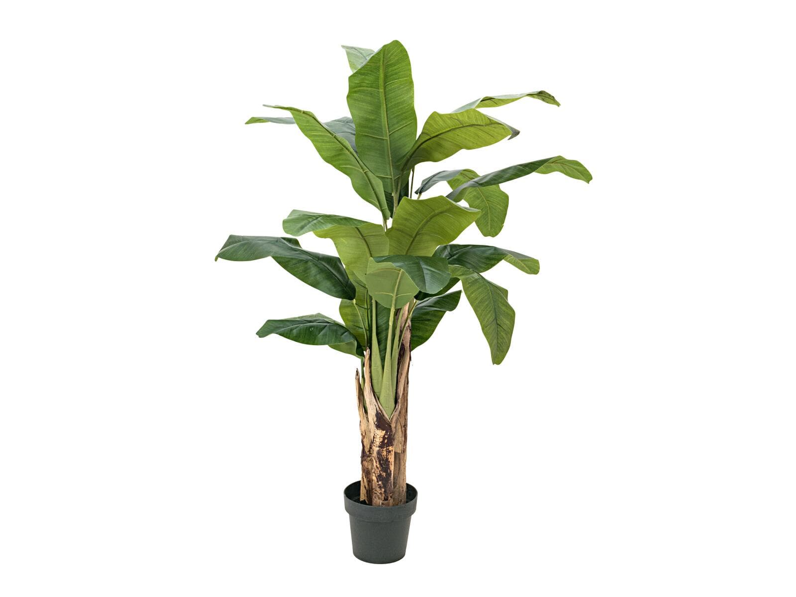 EUROPALMS Banano, pianta artificiale, 120cm - 82509537