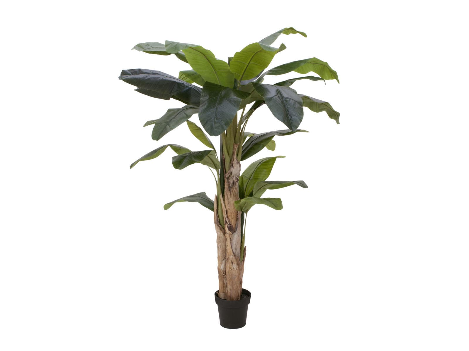 EUROPALMS Banano, pianta artificiale, 170cm - 82509539