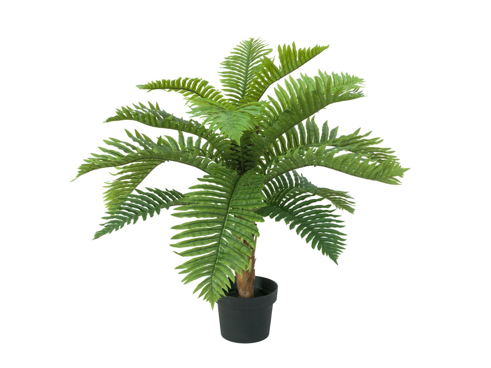 EUROPALMS Palma Cycas, pianta artificiale, 70cm - 82509604