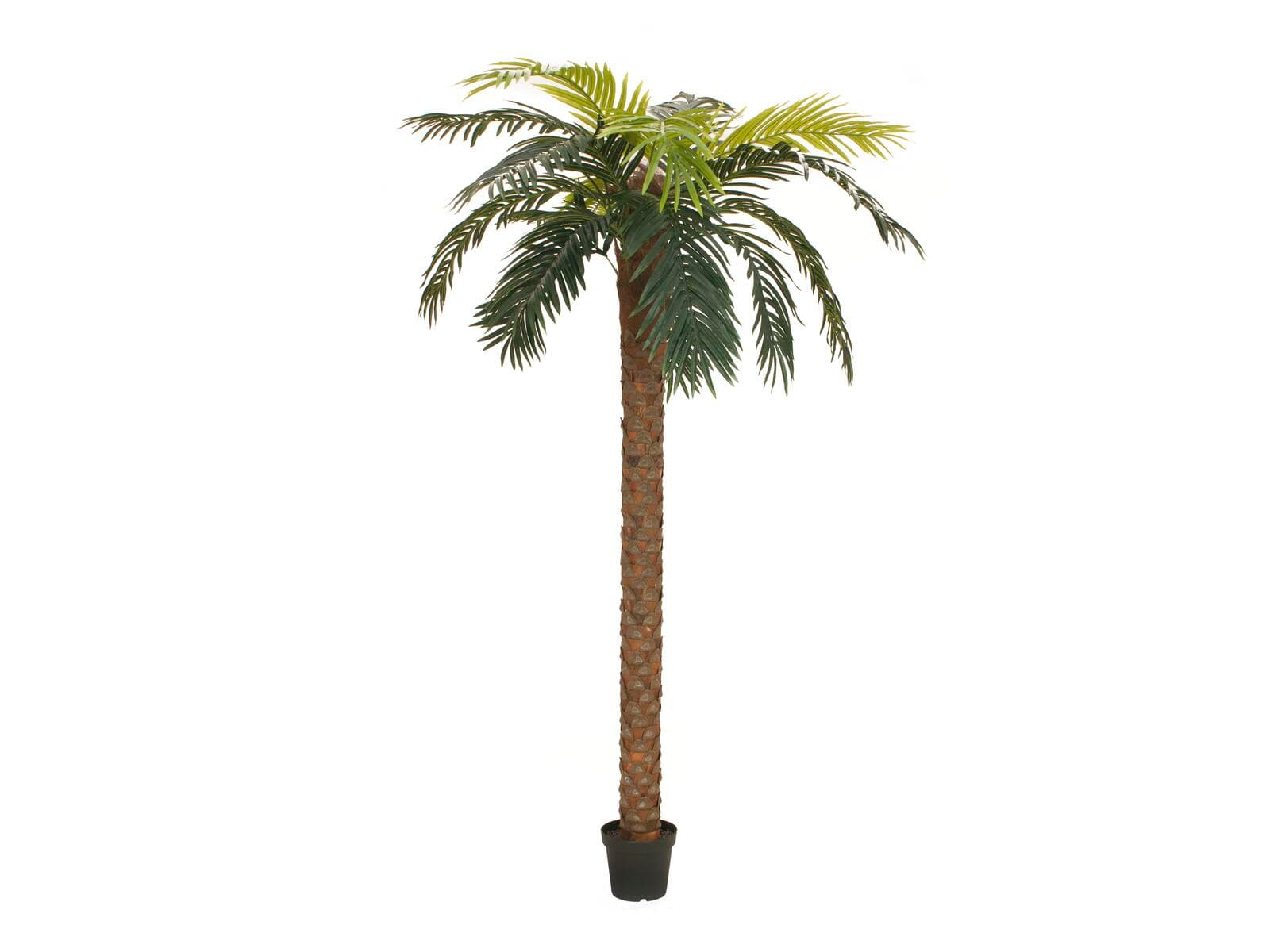 EUROPALMS Phoenix Palm Deluxe, pianta artificiale, 250cm - 82509724