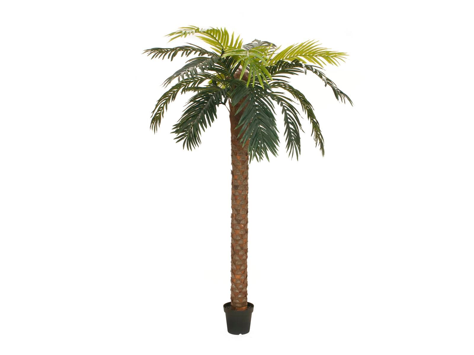 EUROPALMS Phoenix Palm Deluxe, pianta artificiale, 300cm - 82509725