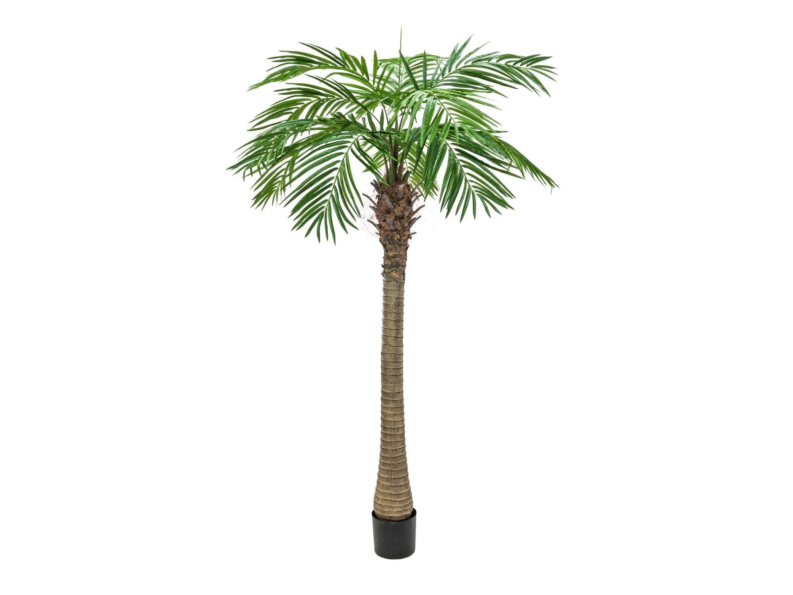 EUROPALMS Palma Phoenix Luxor, pianta artificiale, 300cm - 82510723