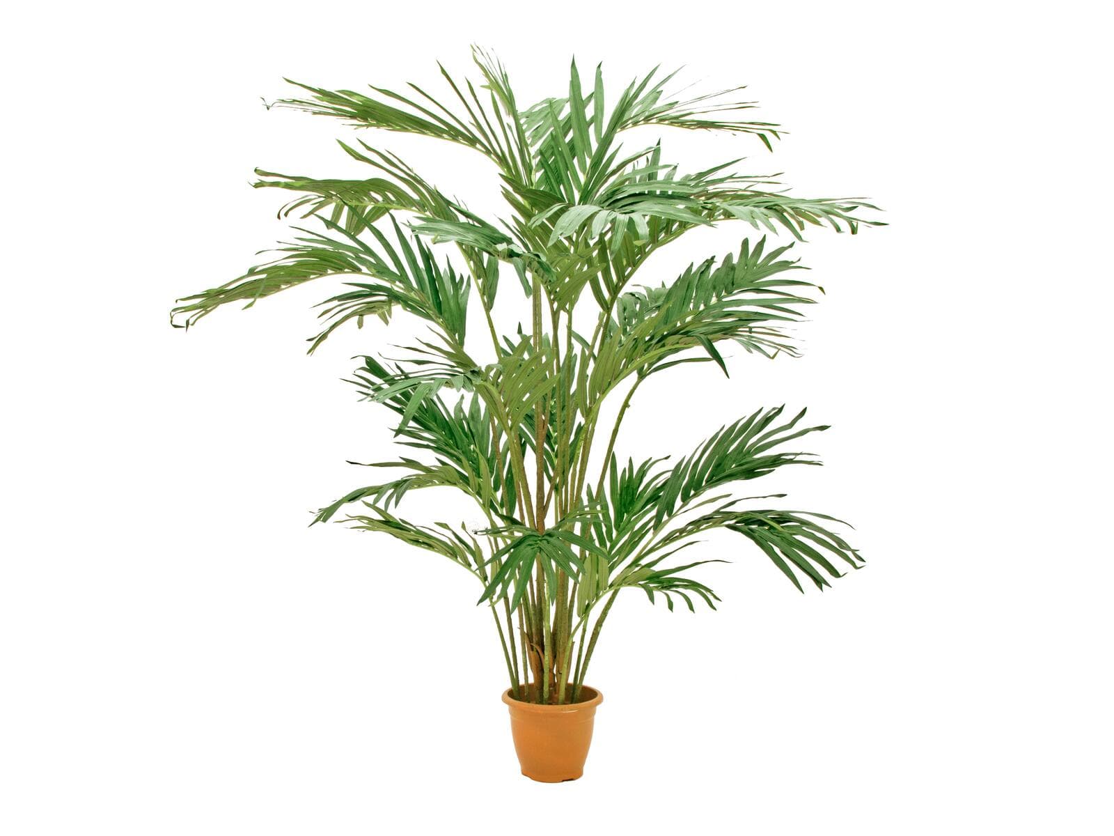 EUROPALMS Palma da datteri delle Canarie, pianta artificiale, 240cm - 82511311