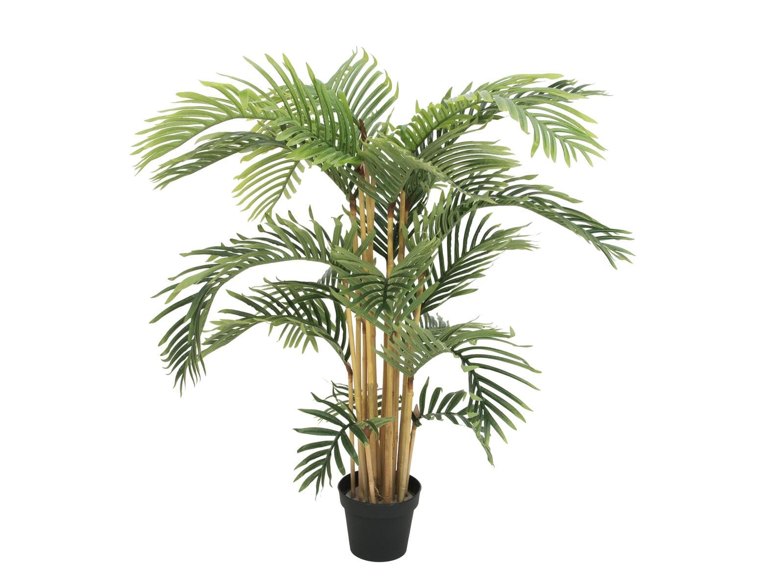 EUROPALMS Palma Kentia, pianta artificiale, 140cm - 82511361