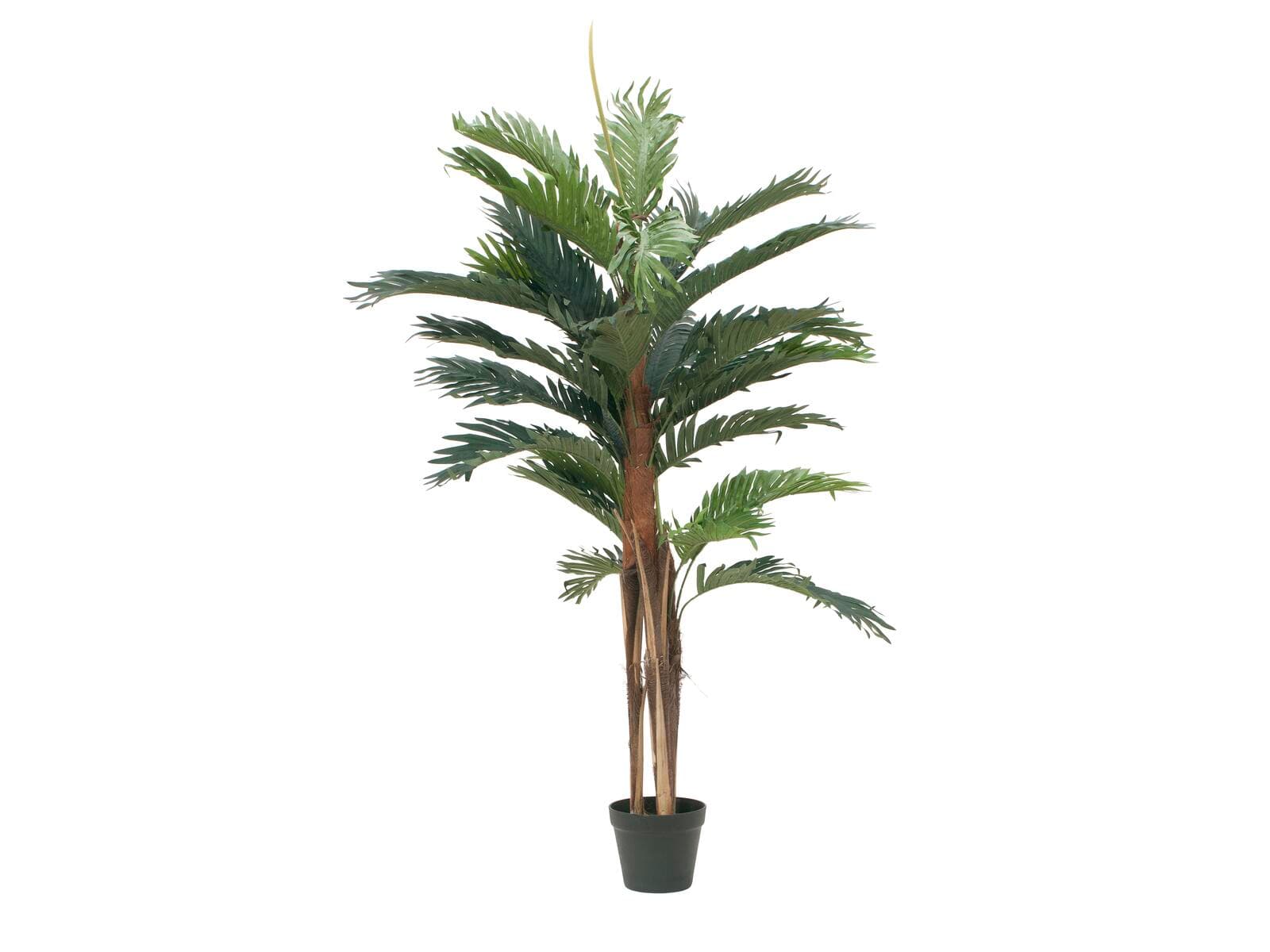 EUROPALMS Palma Kentia, pianta artificiale, 120cm - 82511365