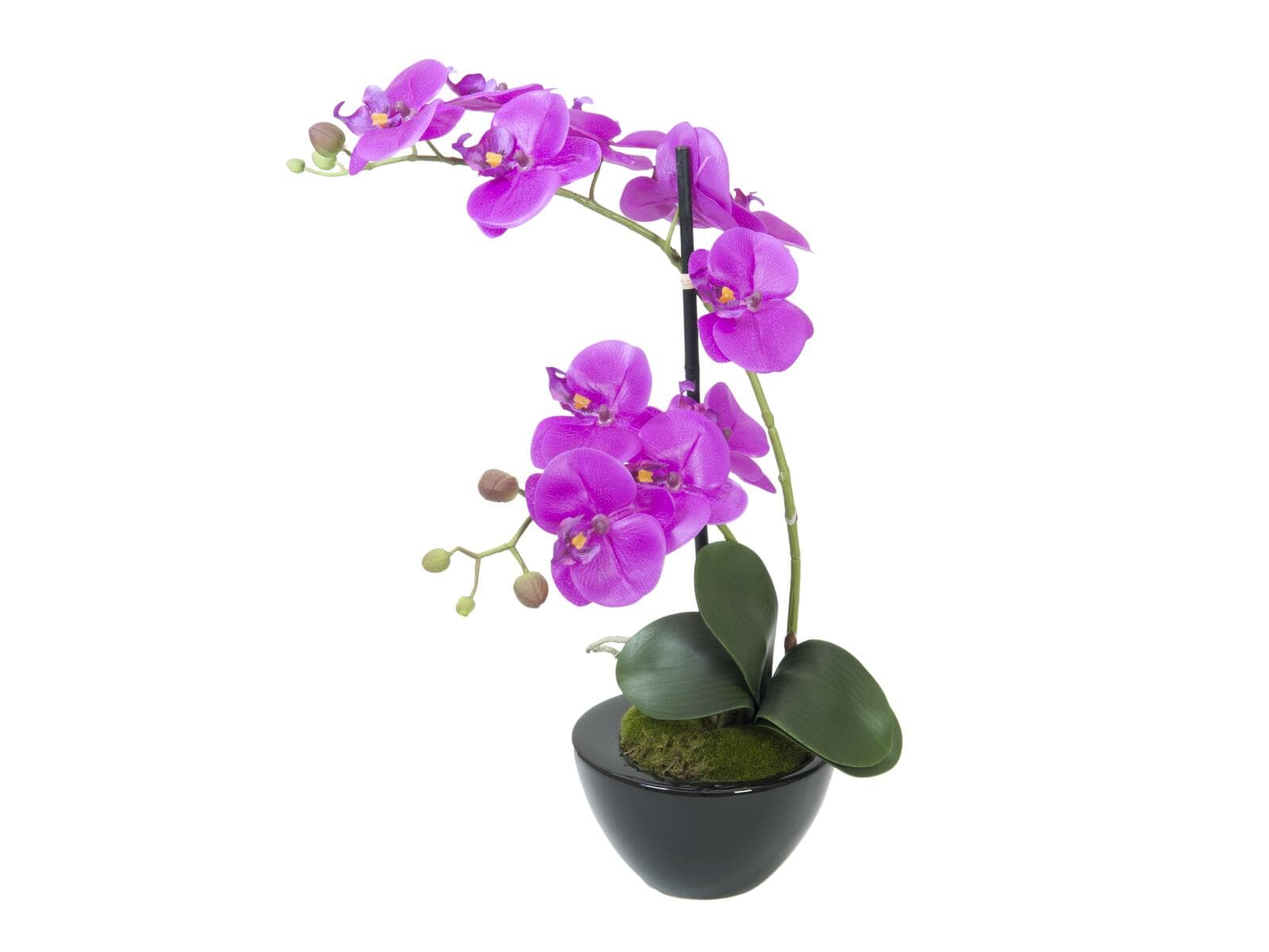 EUROPALMS Composizione di orchidee 4, artificiale - 82530349